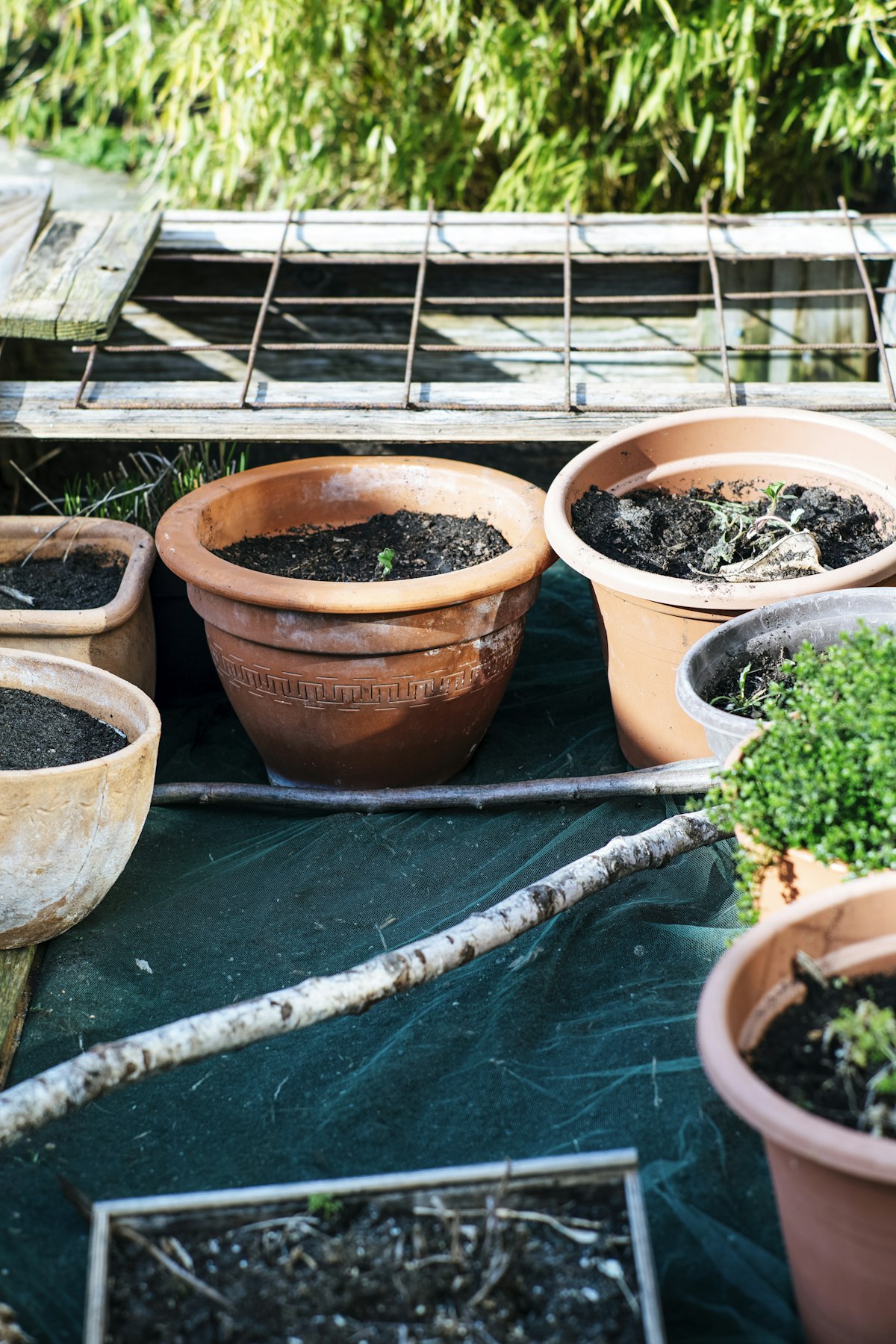 Cultivo de vegetales en macetas y contenedores